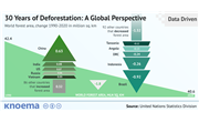 A Global Perspective on 30 Years of Deforestation