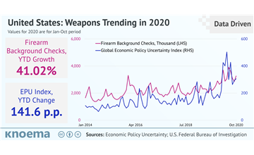United States: Weapons Trending in 2020