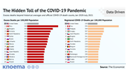 The Hidden Toll of the COVID-19 Pandemic