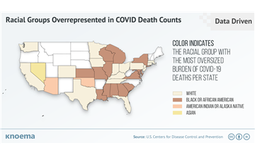 United States: The Unexplained Burden of COVID-19 Mortality by Racial Group
