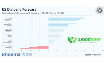 Woodseer Global | US Dividend Forecast