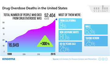 Drug Overdose Deaths in the United States